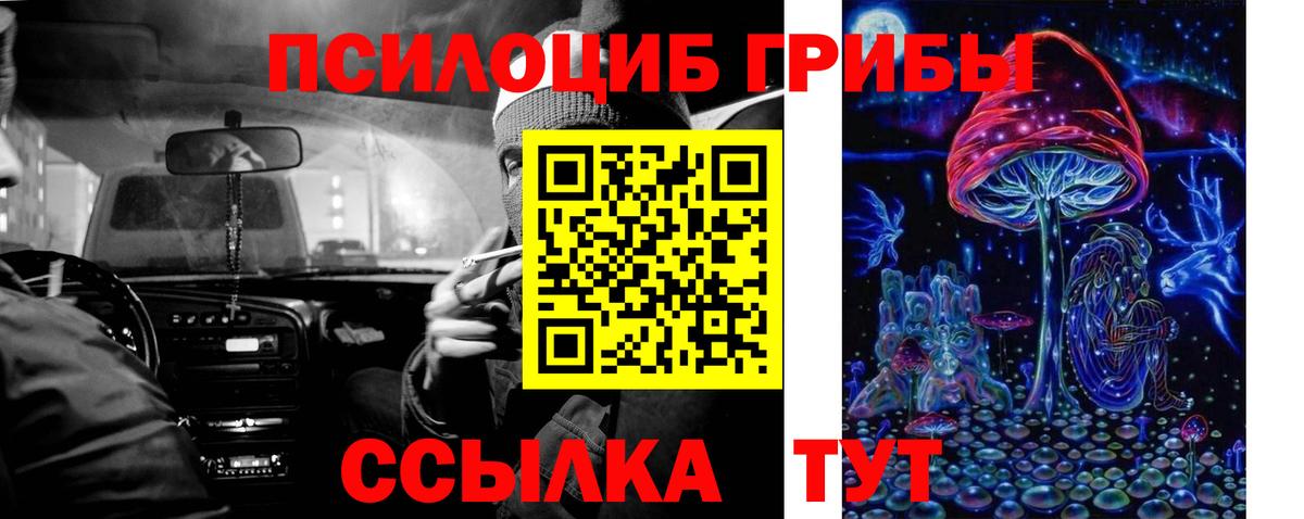 Галлюциногенные грибы MAGIC MUSHROOMS Егорьевск